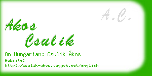 akos csulik business card